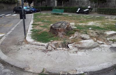 Anfe, Petrelli: “L'antica fontana può abbellire Piazza Ventidio Basso”
