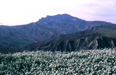 Ascoli, interessante convegno sul Monte dell'Ascensione