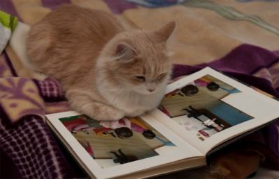 “Nati per leggere” alla biblioteca comunale di Grottammare
