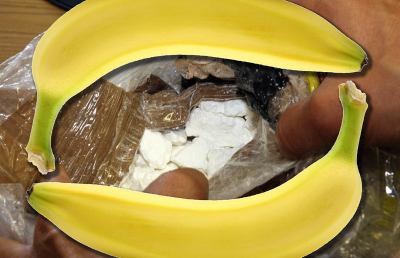 Ascoli Piceno: banane e cocaina erano in arrivo