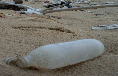 Pulizia spiaggia, Picenambiente e Comune di San Benedetto a lavoro