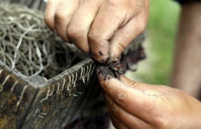 Al via le iscrizioni al terzo ciclo di “Botteghe di Mestiere”