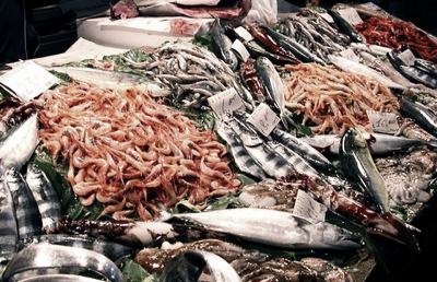 San Benedetto, nuove regole sull'etichettatura dei prodotti ittici