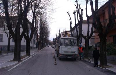 Eco Services, importante intervento di potatura ad Ancarano