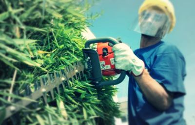 Grottammare, verde e lavori di manutenzione