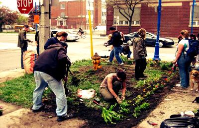 Guerrilla Gardeners, anche in Italia spopolano i guerriglieri del verde