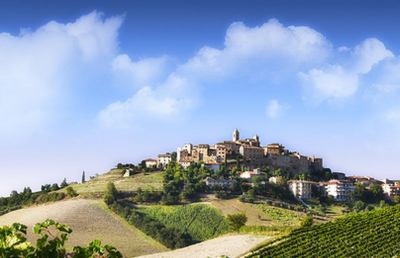Cossignano, spazio al progetto “Bioculture – Art walks with wine”