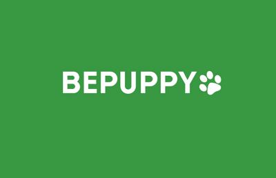 “BePuppy”, alla scoperta del curioso social network dei cani