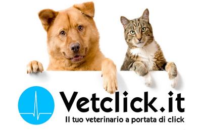 Animali in difficoltà? Tranquilli, il veterinario è a portata di click!