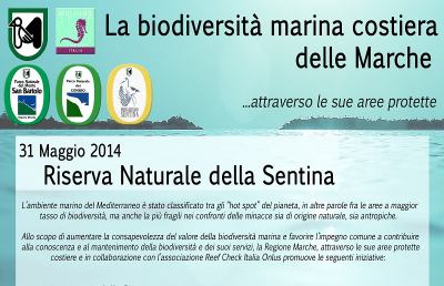 Riserva Sentina, una giornata di approfondimento sulla biodiversità marina
