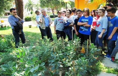 Scuola Curzi e Togliatti, s'incontrano nell’orto per imparare