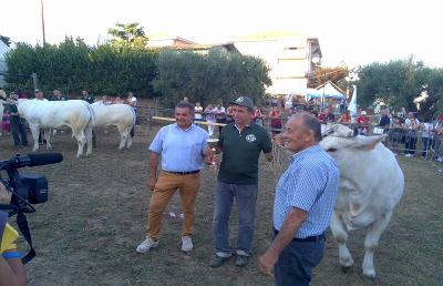 Fiera agricoltura Castel di Lama, Traini rilancia la canapa