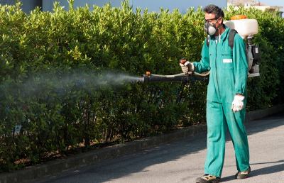 Ascoli, disinfestazione del territorio comunale