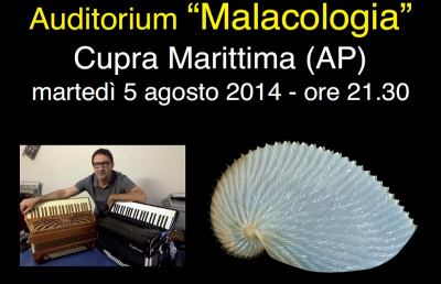 Auditorium Malacologia, concerto di Giacomo Rotatori