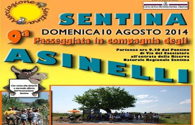Torna la passeggiata alla Sentina in compagnia degli asinelli 
