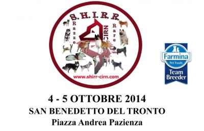 Cani di razza nordica in raduno a San Benedetto