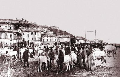 Grottammare: Fiera di San Martino, boom di domande