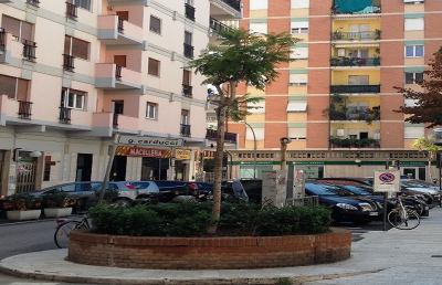 Grottammare, donazione di Jaracande per piazza Carducci