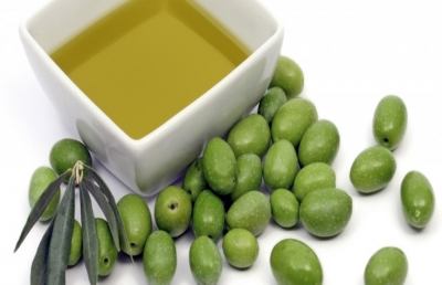 Oliva tenera ascolana, cala del 30% la raccolta e aumenta il prezzo