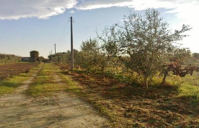 Riserva Sentina, è possibile migliorare la zona agricola