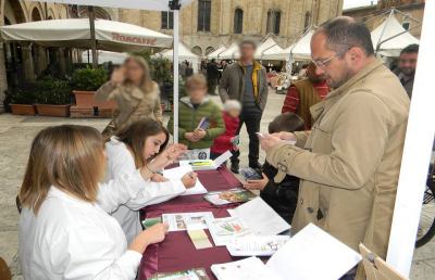 Ascoli, screening visivo gratuito in Piazza del Popolo