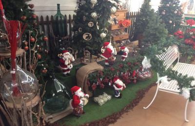 Al Garden Eco Services è già Natale, tante novità e offerte imperdibili