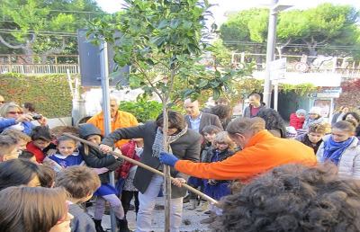 Grottammare: festa dell’albero, nuovi aranci in città