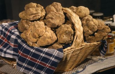 Formazione e territorio, corso di “sommelier del tartufo”
