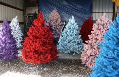 Cia Ascoli e Fermo, Alberi di Natale più piccoli e sintetici