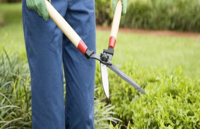 Provincia, al via il corso di giardiniere nelle aule del CLF 