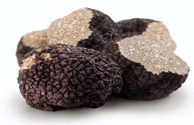 Roccafluvione, il 2 Gennaio parte ufficialmente Truffle&Co