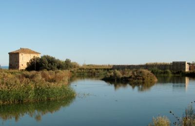 Riserva Sentina: monitoraggio dell’avifauna, censite 192 specie