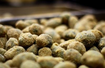 Cucina: la ricetta delle olive all'ascolana