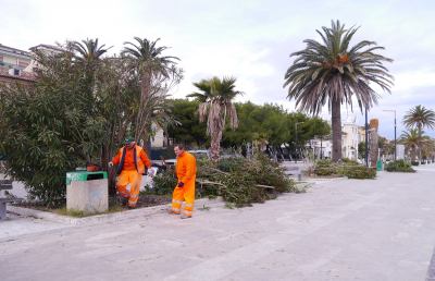 Grottammare: verde urbano, la manutenzione prosegue in pineta