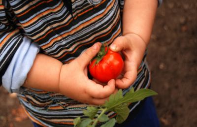 Orto Bimbo, l’esperienza di un orto biologico a scuola