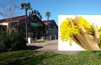 Festa della Donna, un trionfo di fiori e colori all'Eco Services