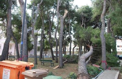 San Benedetto, invito a non frequentare pinete e parchi pubblici