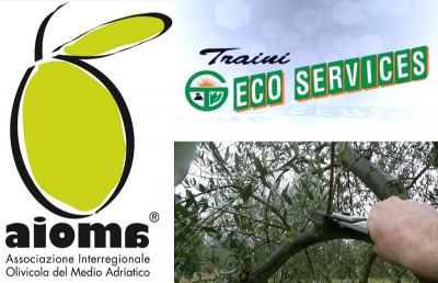 “Giornata Potatura Olivo” all'Eco Services di Giuseppe Traini