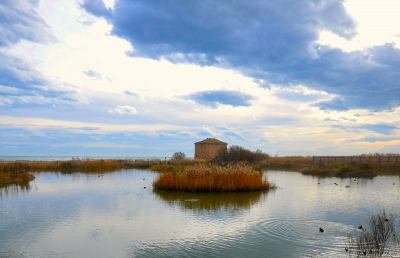 Biodiversità, alla Sentina inizia l'attività didattica con le scuole