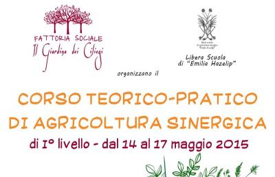 Giardinaggio, impariamo a fare l'orto che si fa da solo