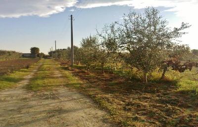 Sentina, concluso il progetto pilota del paesaggio agricolo 