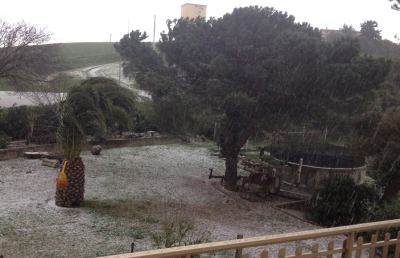 Altro che primavera, siamo in pieno inverno... Neve sulle colline picene