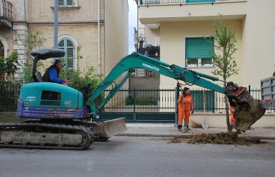 San Benedetto del Tronto, nuovi aceri in via Ugo Bassi