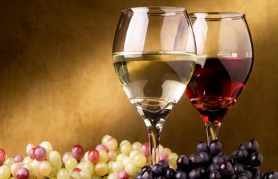 Concorso Enologico, le Marche conquistano 22 Gran Menzioni