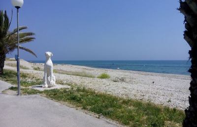 Grottammare, la spiaggia “Dog Beach” è pronta per l’estate