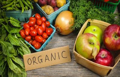 Festival del biologico, appuntamenti domenicali da Maggio a Settembre