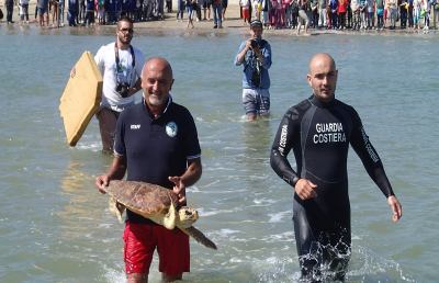 San Benedetto, il 29 Maggio la liberazione di una tartaruga marina 