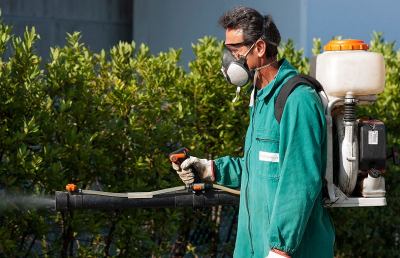 Ascoli, scatta la disinfestazione. Orari e consigli utili