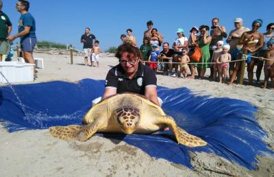 San Benedetto, liberate le due tartarughe Caretta Caretta