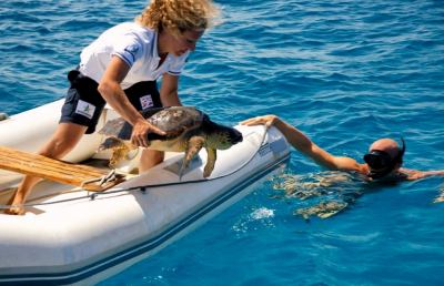 Tartalife, giornata nazionale dedicata alle Caretta Caretta